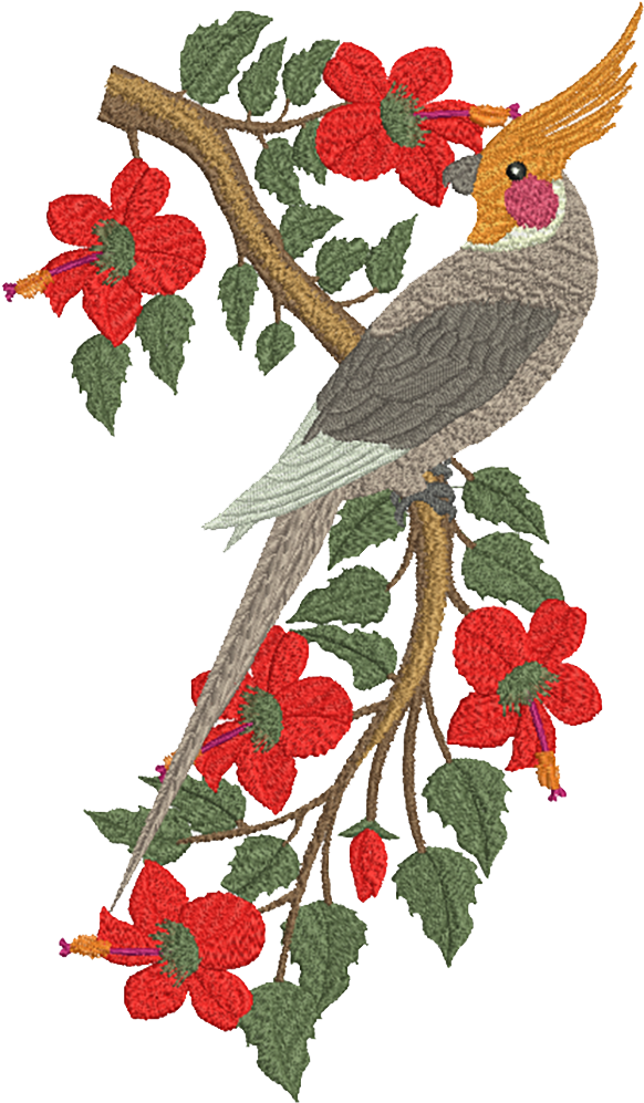 Machine Embroidery Design - Embroidery Designs Of Parrot (1000x1000), Png Download