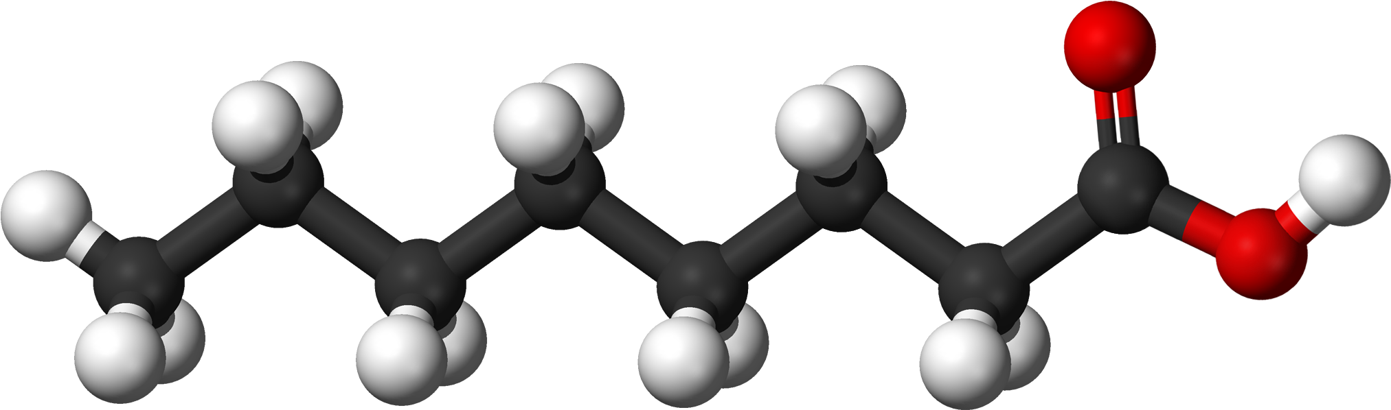File - Caprylic Ac - Structure Of Caprylic Acid (2124x747), Png Download