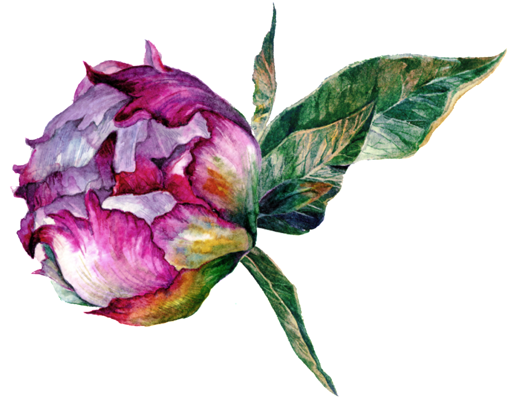 Hand Drawn Flower Vector This Backgrounds - Portable Network Graphics (1024x802), Png Download