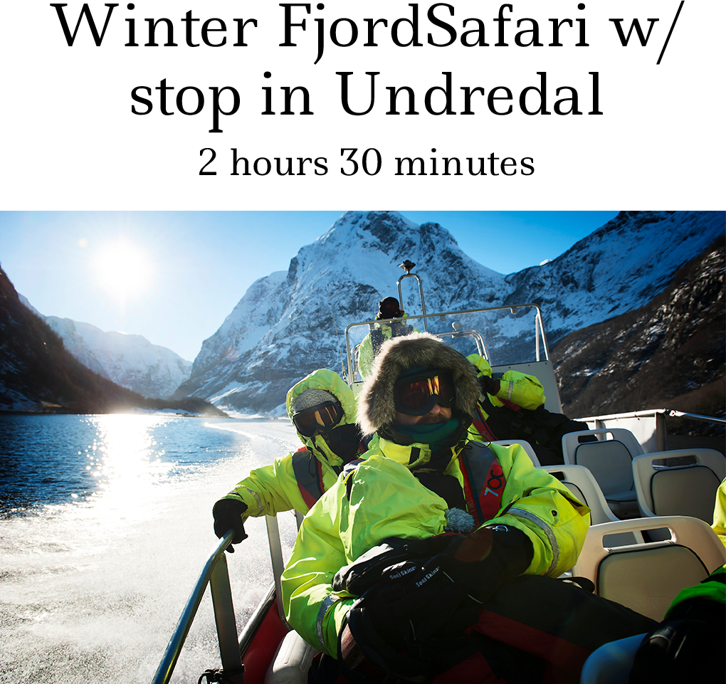 Basic Fs Winter Admin 2016 12 02t08 - Fjordsafari - Flam Guide Service As (1020x961), Png Download