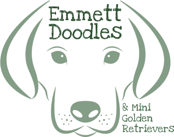Emmett Goldendoodles And Mini Golden Retrievers - My Karma Ran Over My Dogma Rectangle Sticker (640x513), Png Download