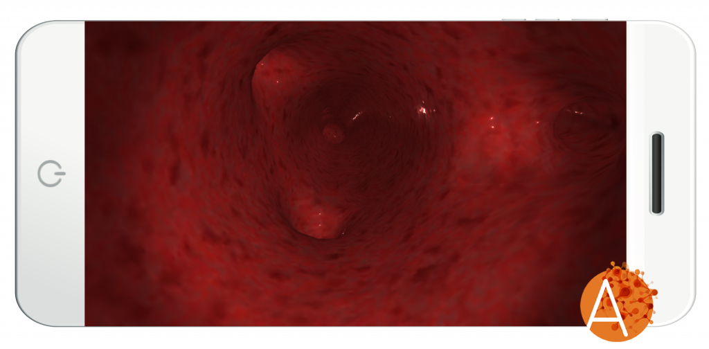 Anatomyou Vr - Circulatory System (1024x504), Png Download