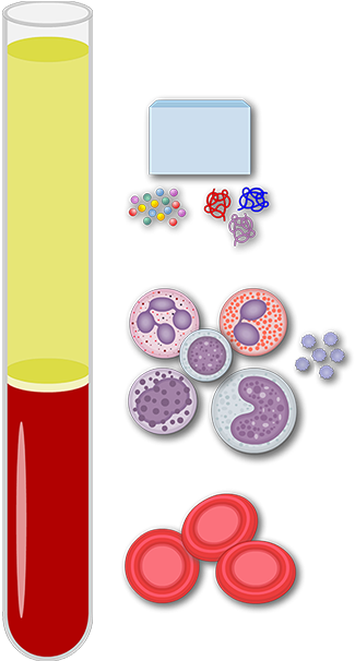 General Composition Of Blood - Blood Composition (1200x630), Png Download