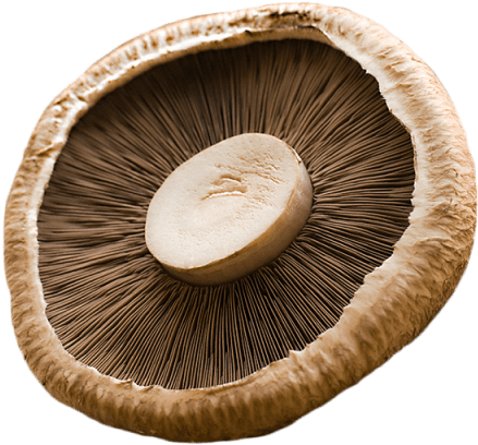 2 Unit - Photograph (640x640), Png Download