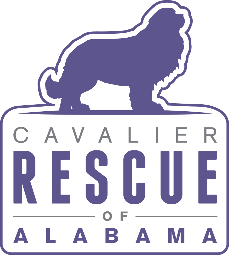 Cavalier Rescue Car Decal - Village Home (921x1024), Png Download