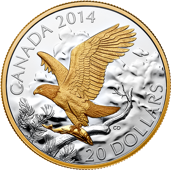 Fine Silver Gold-plated Coin - Silver (570x570), Png Download