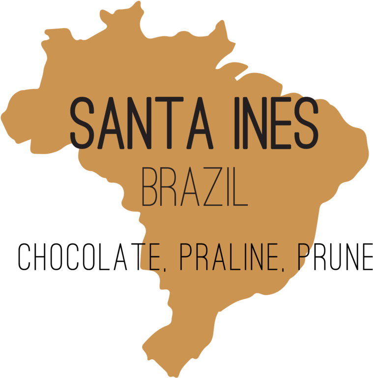 Steampunk Coffee Roasters - Brazil Map Black Png (1280x1280), Png Download