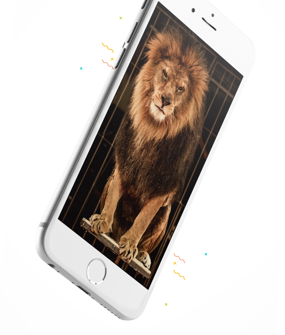 Poster: Photo's Lion In Circus Cage, 61x46cm. (975x1145), Png Download