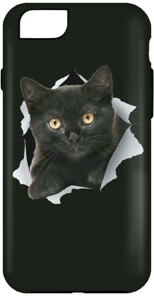 Black Kitten Iphone Case - Cat (1155x1155), Png Download