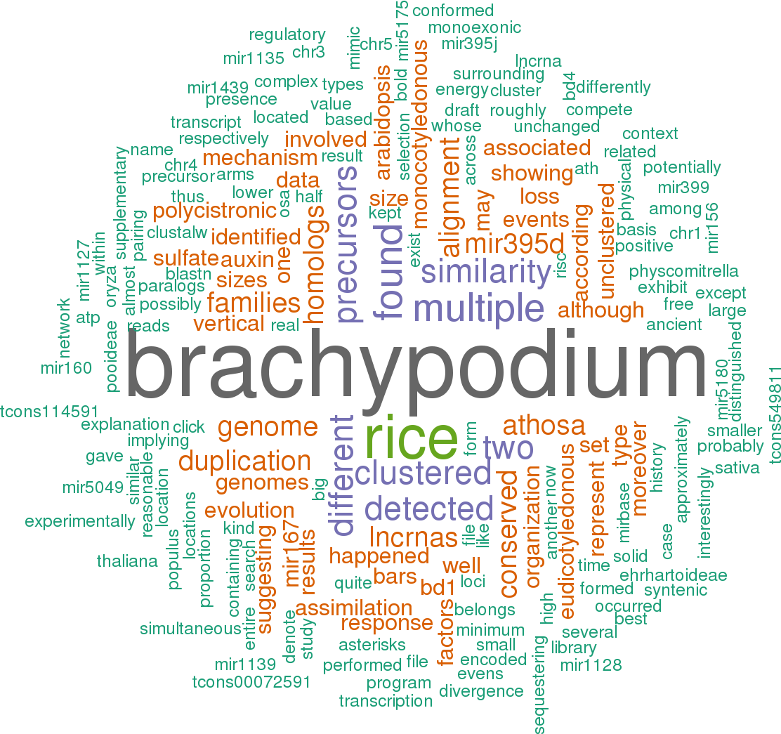 Stem Loop Sequence Bdi Mir395c - Word Cloud Of World Cup Png (1112x1045), Png Download