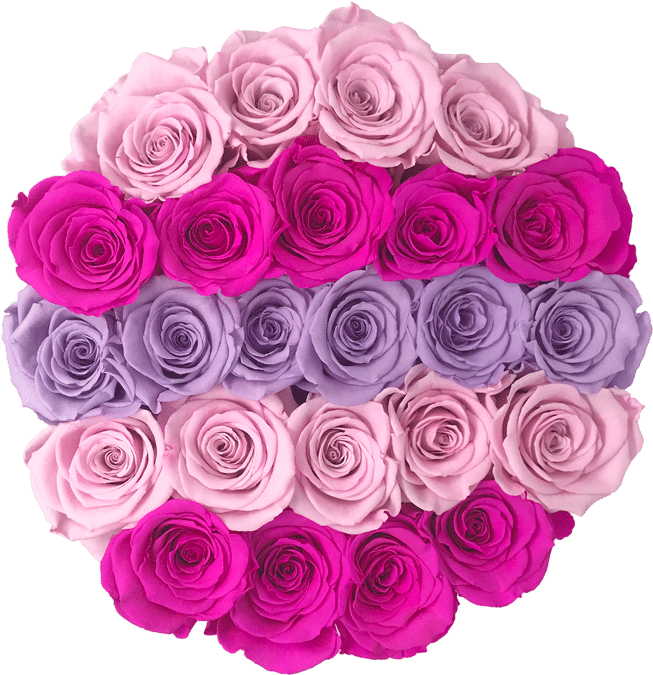 Prev - New York City (800x793), Png Download