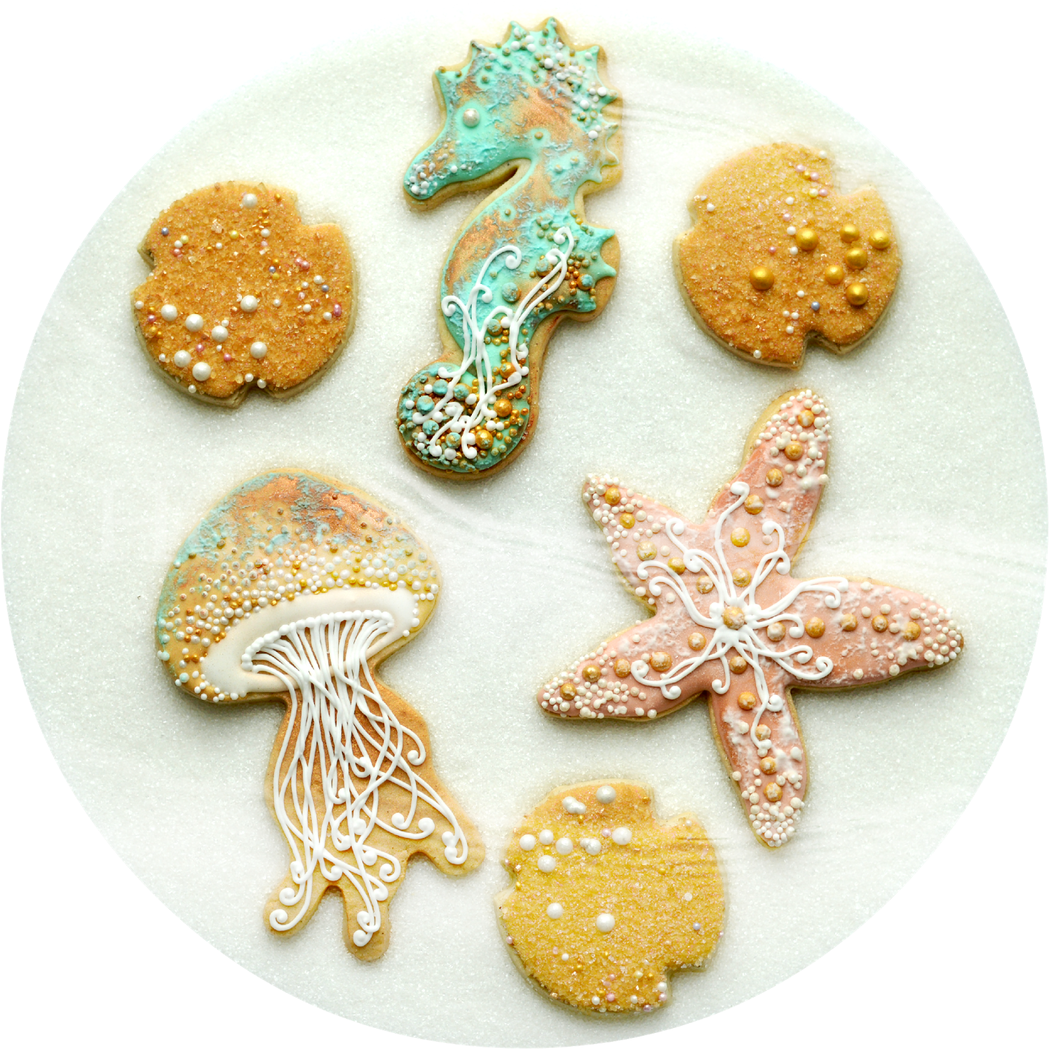 Circle 1,600×1,600 Pixels - Cookie (1600x1600), Png Download