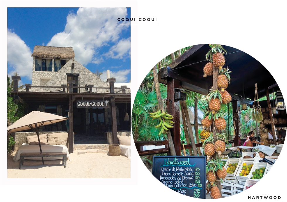 Coqui - Tourist Attraction (1024x720), Png Download