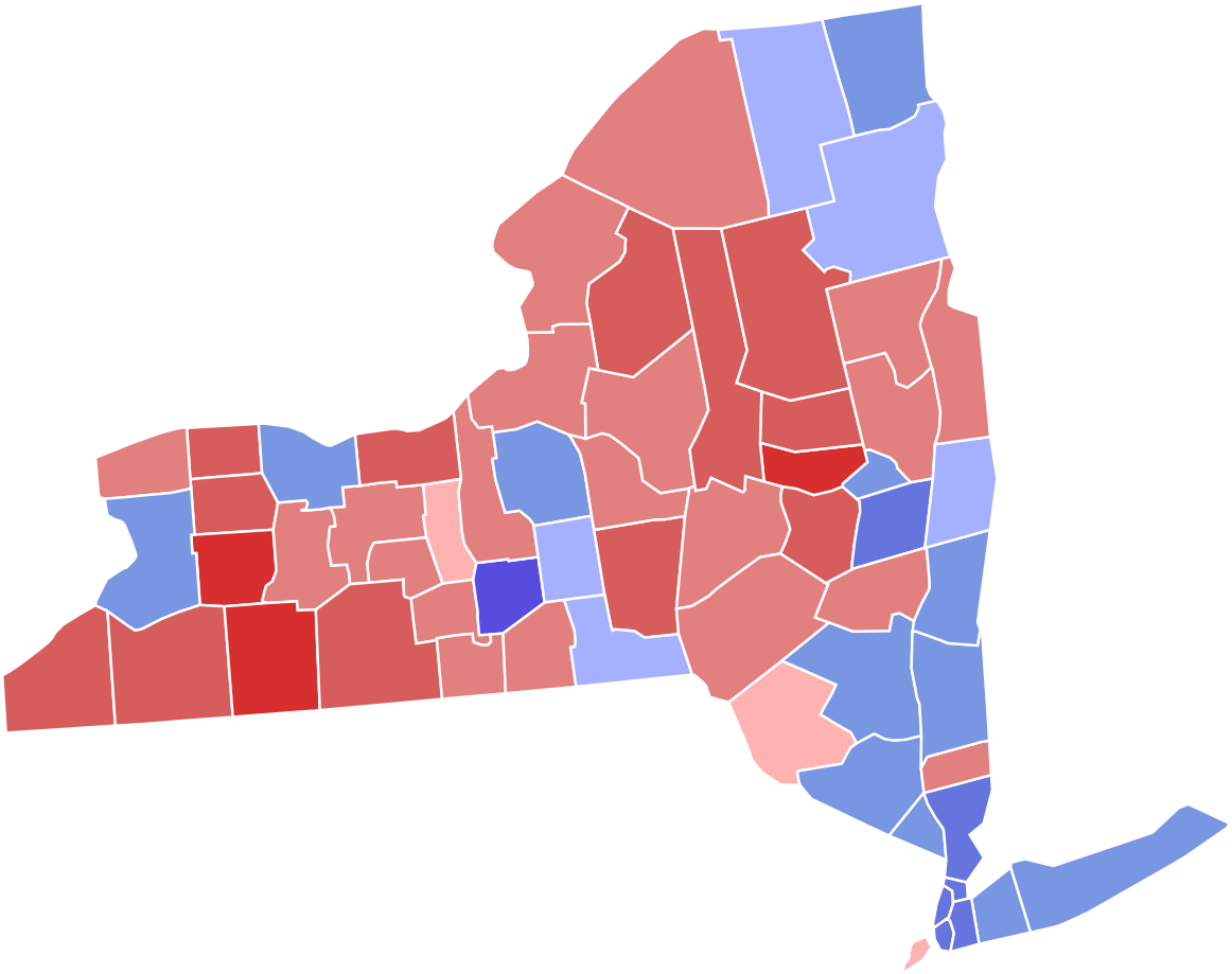 Ny State Governor Election 2018 (1200x948), Png Download