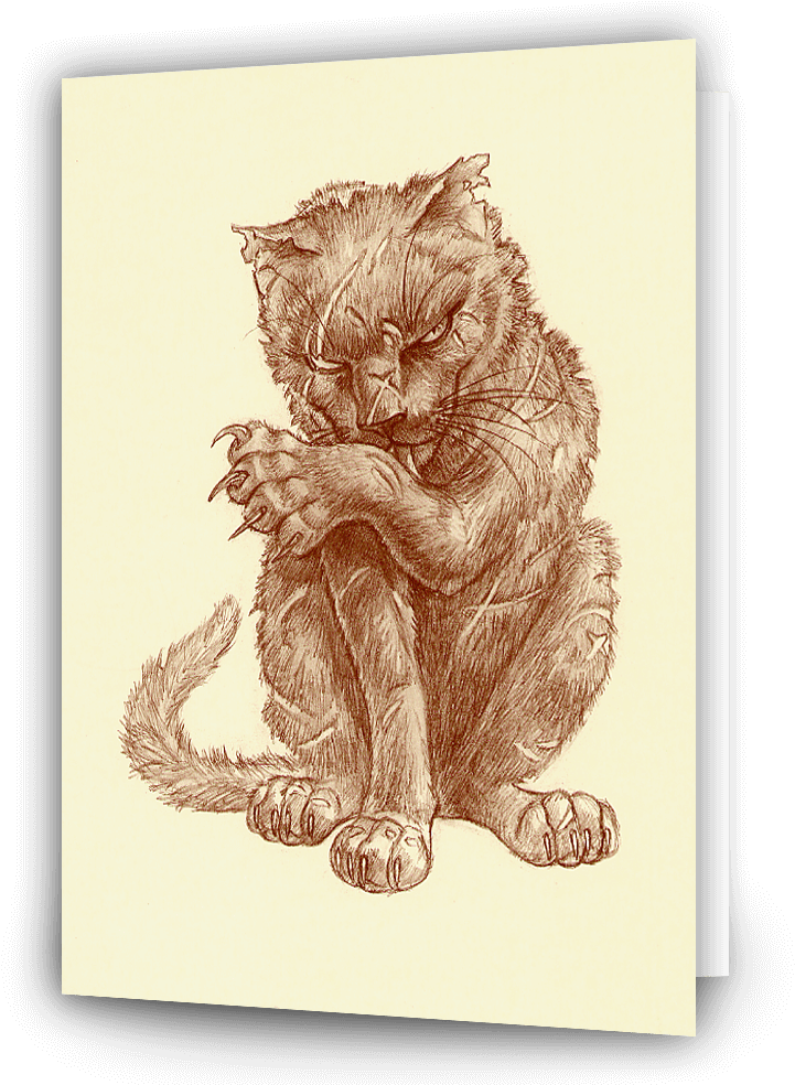 Click To Zoom - Greebo Cat (1000x1000), Png Download