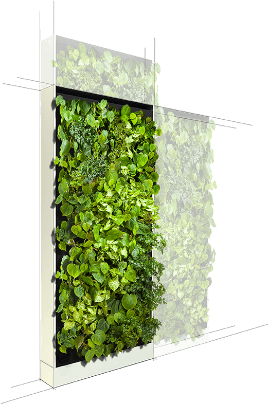 Wall Plug, Smart Technologies, Green Furniture, Workplace - Wall (624x808), Png Download