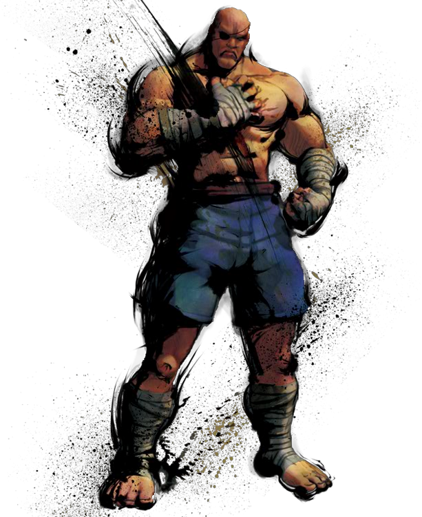 Sagat (613x751), Png Download