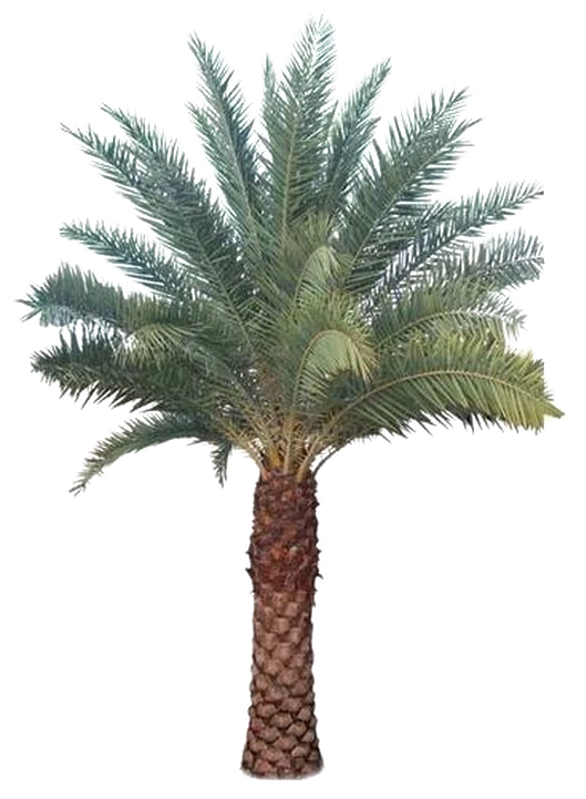 Image Not Found Or Type Unknown (720x720), Png Download