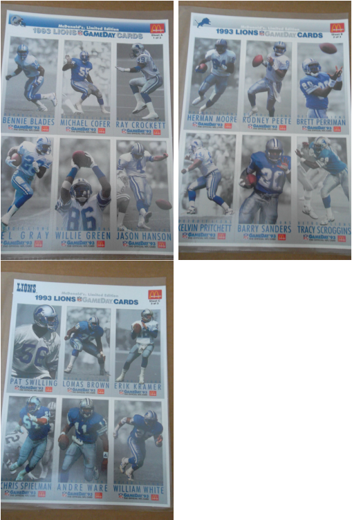 Includes Rodney Peete, Barry Sanders - Airliner (509x752), Png Download