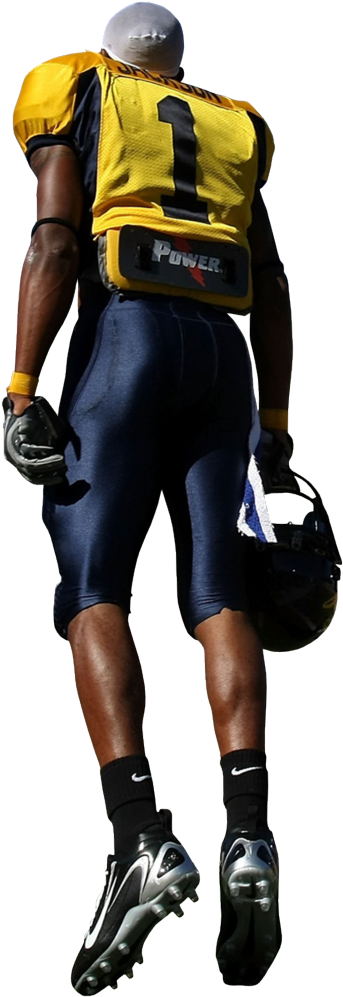 My Space Barry Sanders - Desean Jackson (502x1023), Png Download