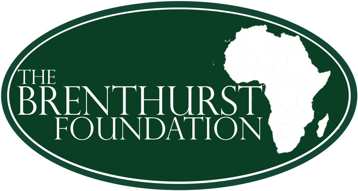 Machel Mandela Fellowship Programme 2019 For Young - Background Blue Map Of The World (1192x881), Png Download