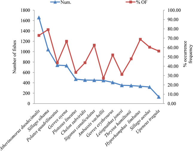 Number Of Dominant Species And Percentage Of Occurrence - Uso De Internet En Europa (902x509), Png Download