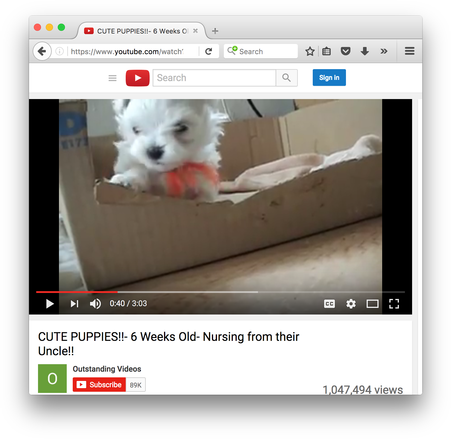 Here Is How To Download A Video From Youtube - Youtube's Old Search Bar (1538x1490), Png Download
