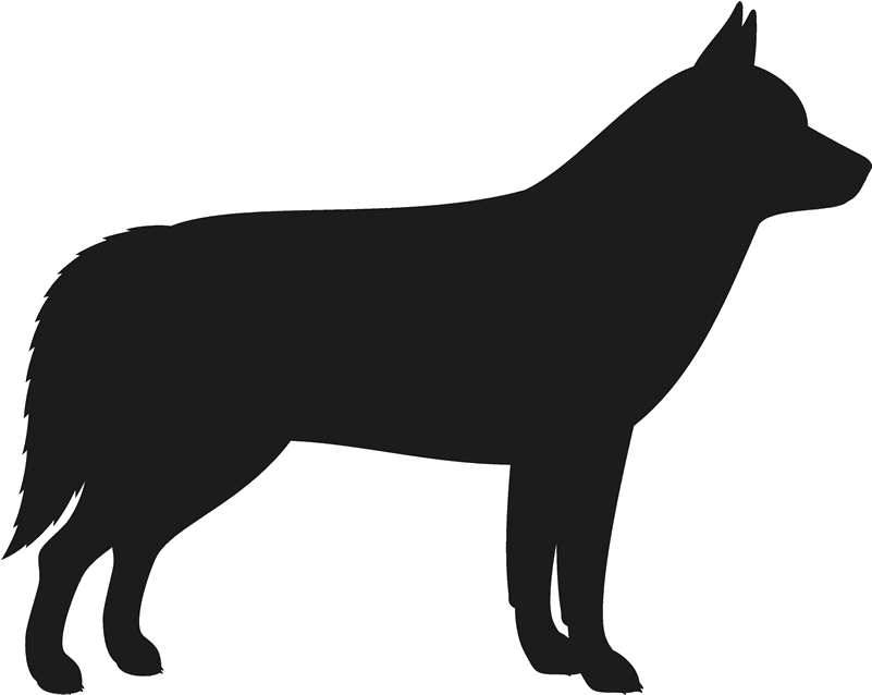 Transparent Download Husky Dog Silhouette At Getdrawings - French Bulldog Silhouette (800x800), Png Download