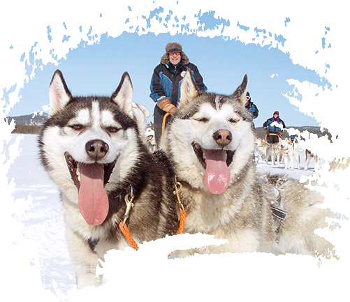 Overnight <br>husky Excursion - Kakslauttanen Arctic Resort East Village (500x450), Png Download