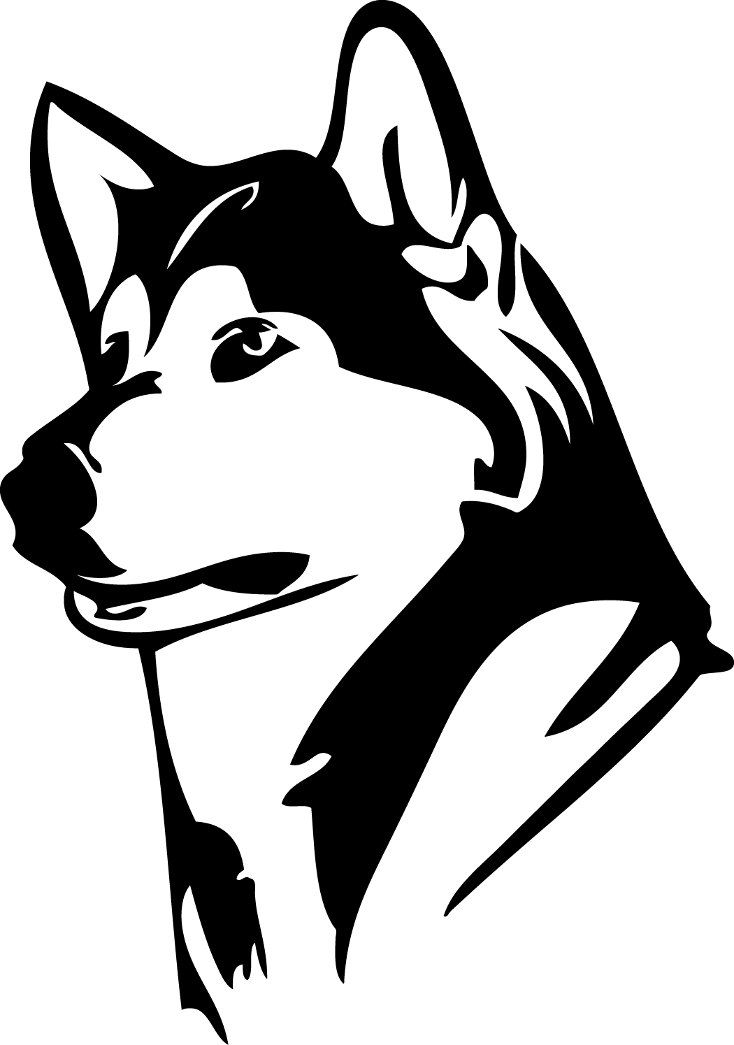 Husky Drawing Skull - Uw Husky Logo (1050x1495), Png Download