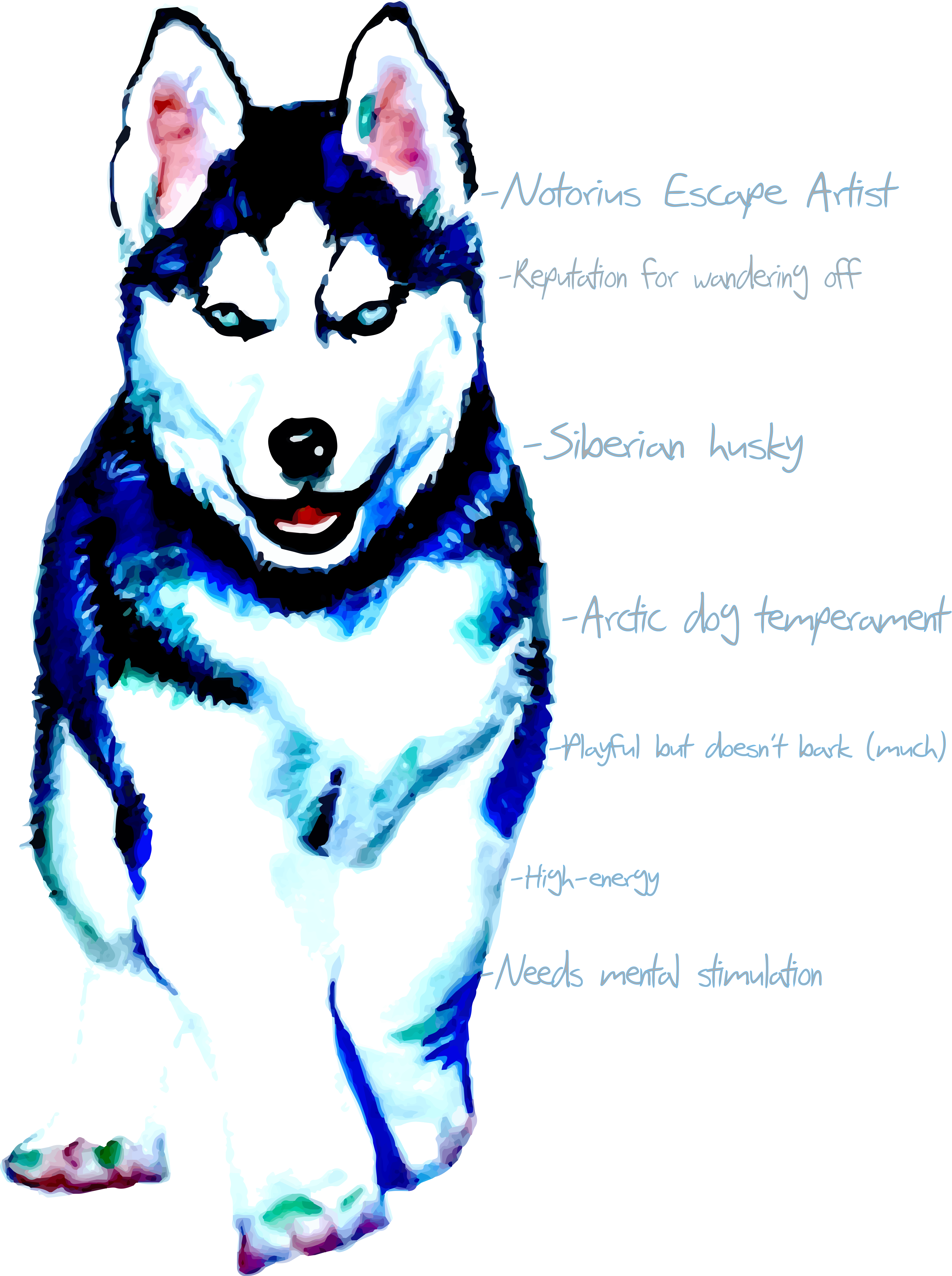 Falls Creek Sled Dogs (5608x7516), Png Download