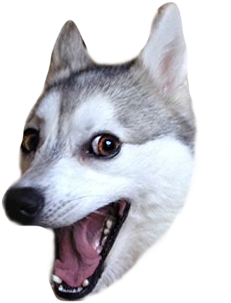 Copy Link - Ba Dum Tss Dog (537x535), Png Download