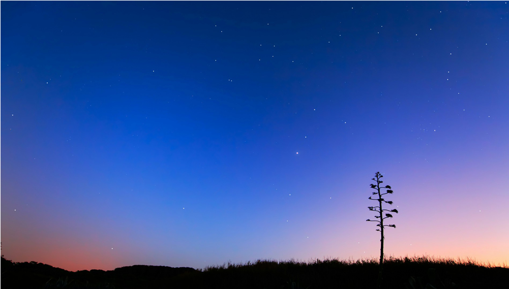 Score 50% - .org (1000x1000), Png Download