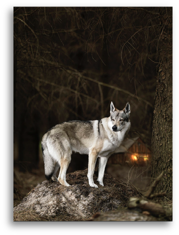 2 Led Lights - Art (500x500), Png Download