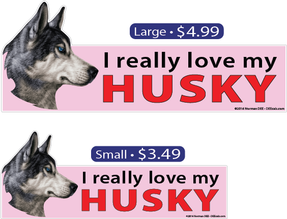 I Love My Siberian Husky - Kunming Wolfdog (576x453), Png Download