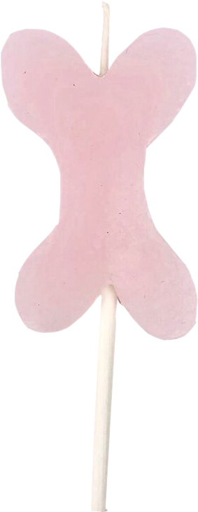 Birthday Candle On A Stick - Dog Bakery (960x960), Png Download