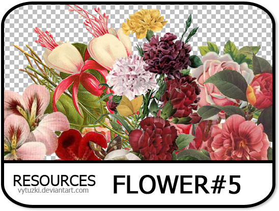 Flower Png Pack Banner Royalty Free Library - Reproduction Procédé Giclée Camellia, 1833, 61x46cm. (576x432), Png Download