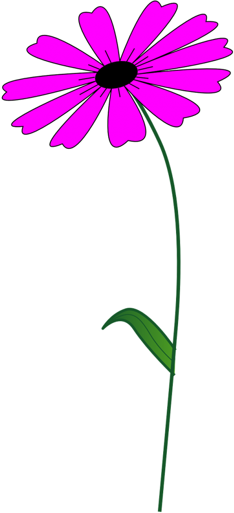 Flor Rosas Brilhantes (500x1000), Png Download