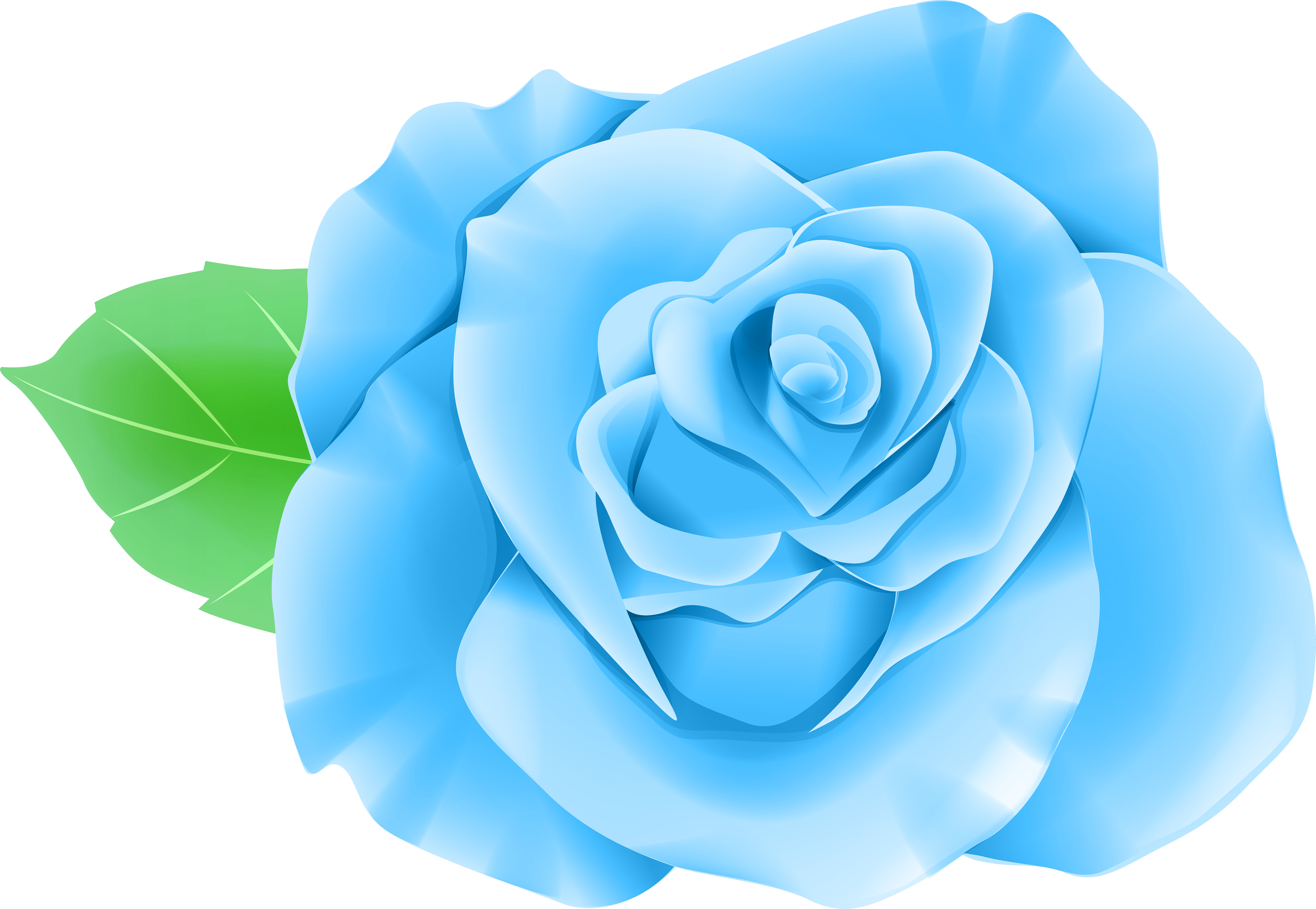 Blue Single Rose Png Clip Art Image - Single Rose (600x415), Png Download
