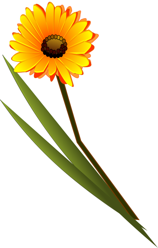 Tag - Flower - Flower Clip Art (508x800), Png Download