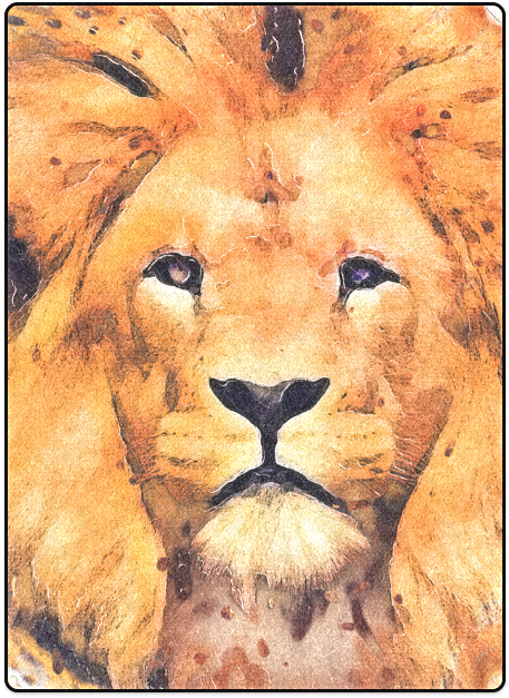 Lion Wall Tapestry - Small: 51" X 60" (800x800), Png Download