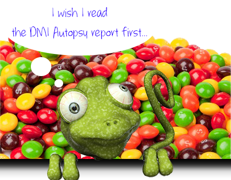 Skittles Png Average Directional Index Indicator - Chameleon In A Bag Of Skittles (450x350), Png Download