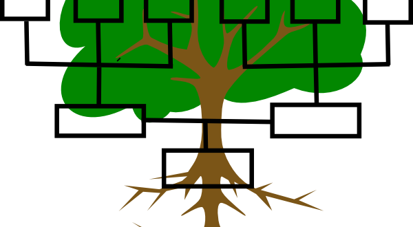 The First Digital Family Tree, Operational In Romania - Genealogy (600x330), Png Download