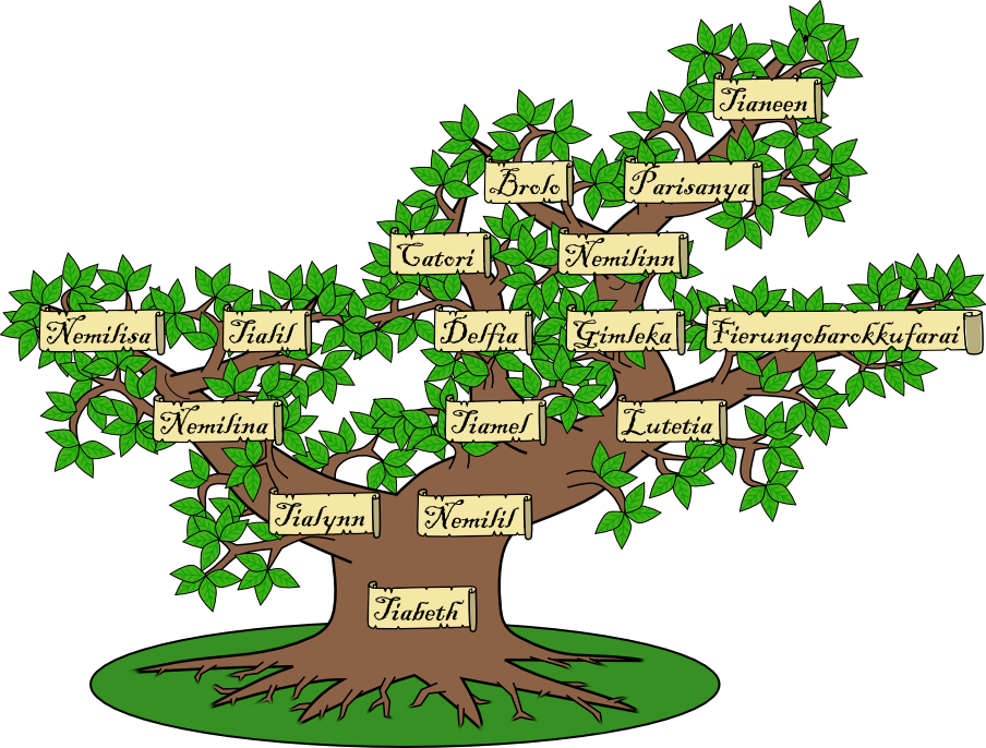Photo Familytree - Family Tree (904x686), Png Download