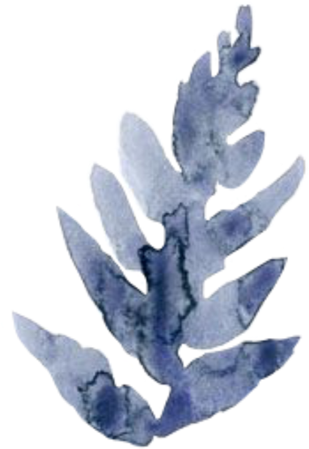 Ftestickers Watercolor Leaf Blue - Illustration (1024x1024), Png Download