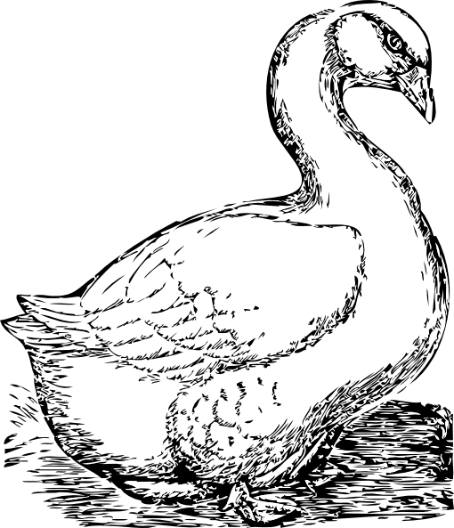 Afficher L'image D'origine - Goose Clip Art (510x593), Png Download