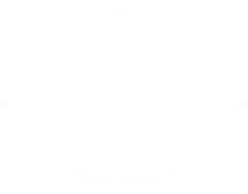 Family Tree Nursery (842x660), Png Download