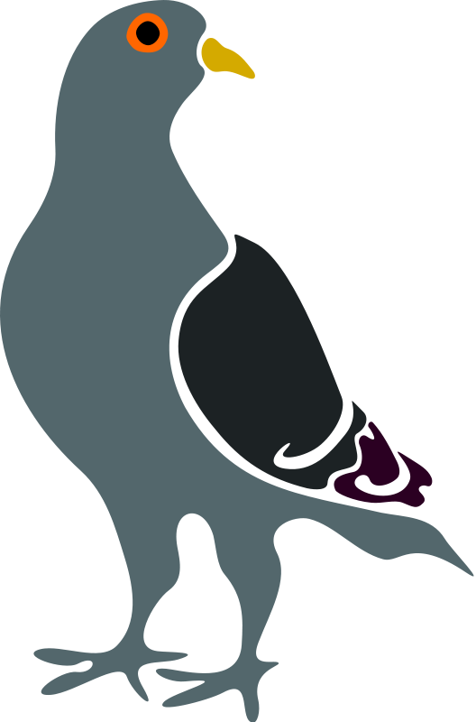 Free Vector Pigeon - Pigeon Clip Art (528x800), Png Download