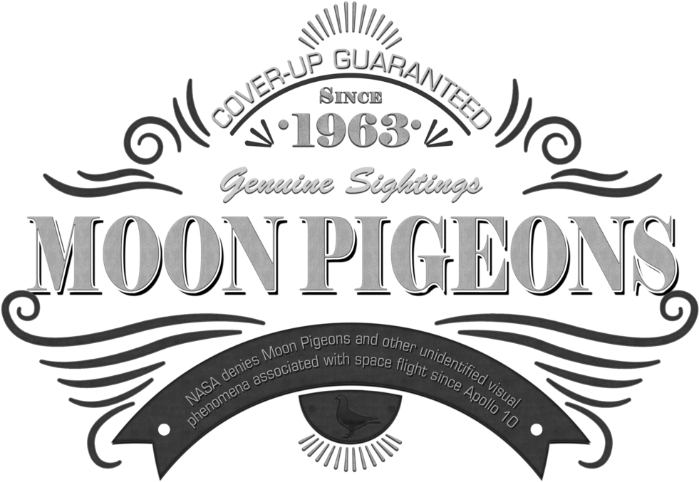Moon Pigeon T-shirt - Professor (1024x713), Png Download