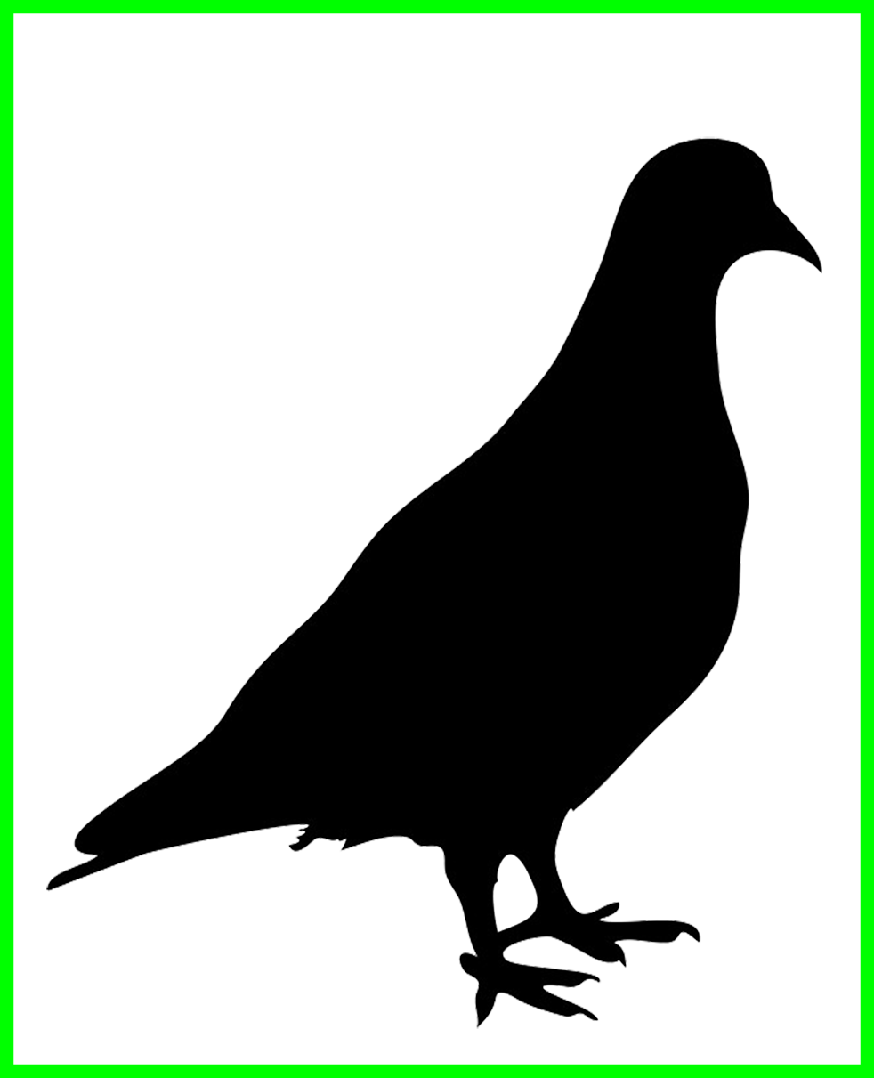 Stunning Of Pigeon Png - Pigeon Silhouette Png (982x1211), Png Download